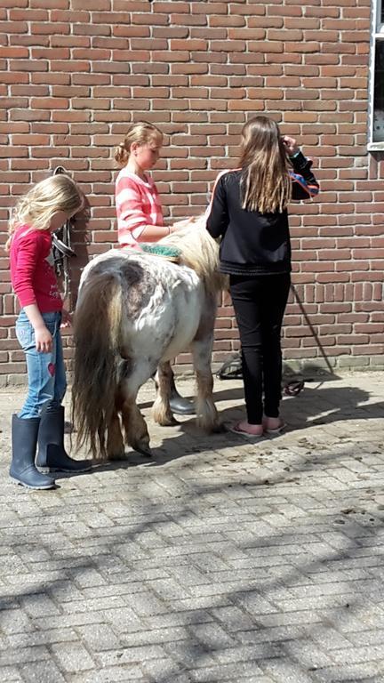 De Broodkist